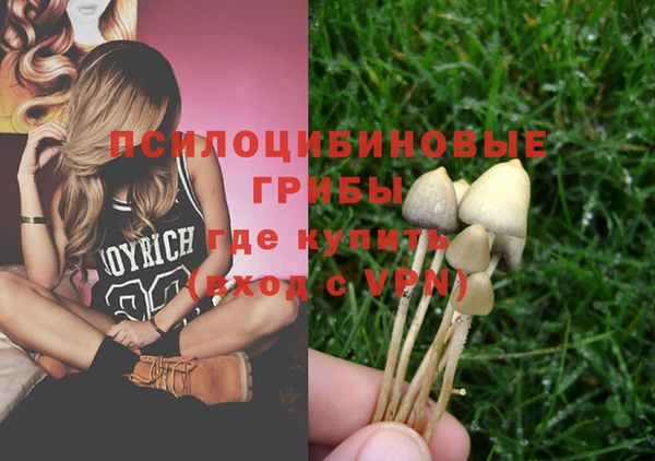 стаф Алексеевка