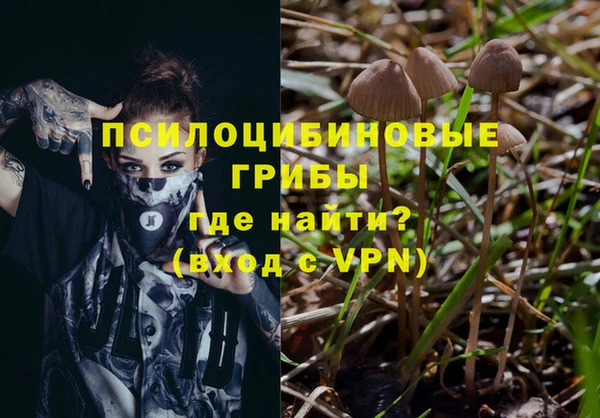 ECSTASY Алзамай