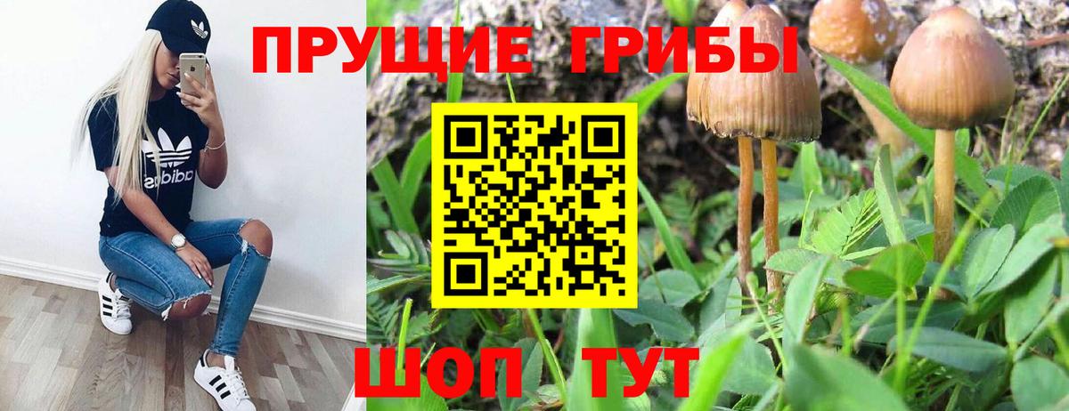 Калач-на-Дону  Псилоцибиновые грибы мицелий  Вход с VPN 
